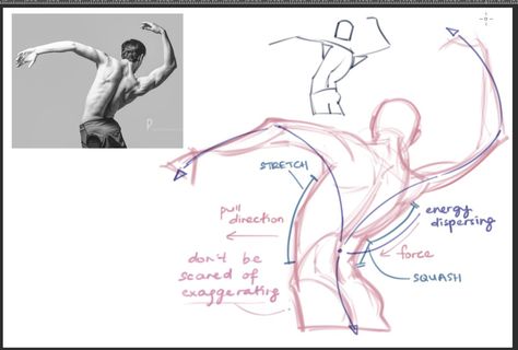 Fluid Poses Reference, Fluid Poses, Make Poses, Pose Tutorial, No One Asked, Anatomy Tutorial, Human Anatomy Art, Body Reference Drawing, Photo Texture