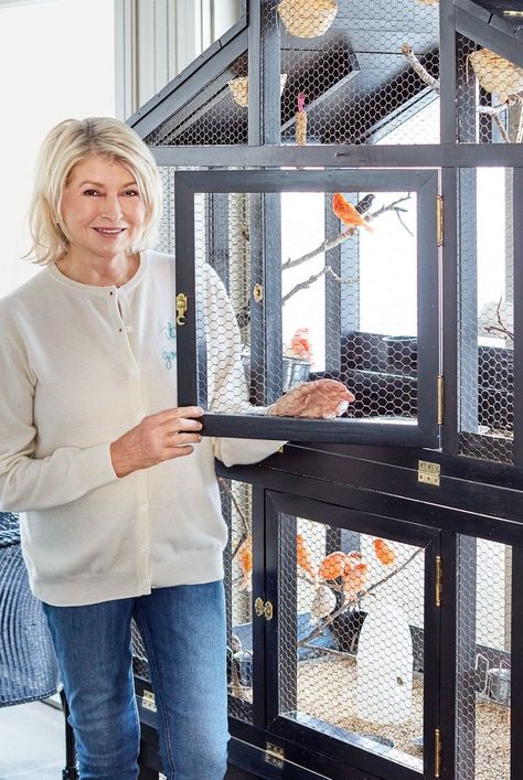 Our founder Martha Stewart shares her best advice for raising and owning dogs, cats, birds, and other animals to get along at home. #diypets #diyprojects #marthastewart #petbeds #petfurniture #pets Dog Whining, Diy Bird Cage, Bird Cage Design, Parakeet Cage, Blue Parakeet, Pet Bird Cage, Cat Proofing, Cat Lounge, Bird Aviary