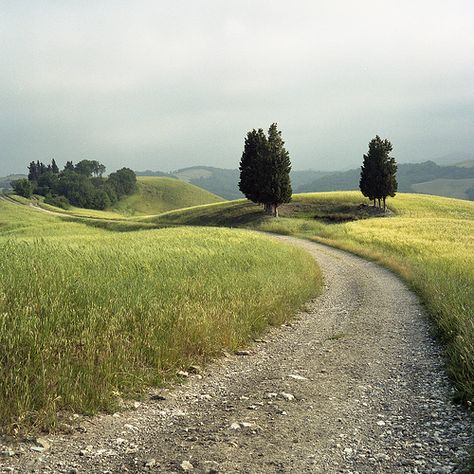 Simple Landscape Photography, Wild Gardens, Pastel Inspiration, Skai Jackson, Landscaping Images, Countryside Landscape, Dirt Road, Country Road, Landscape Photos