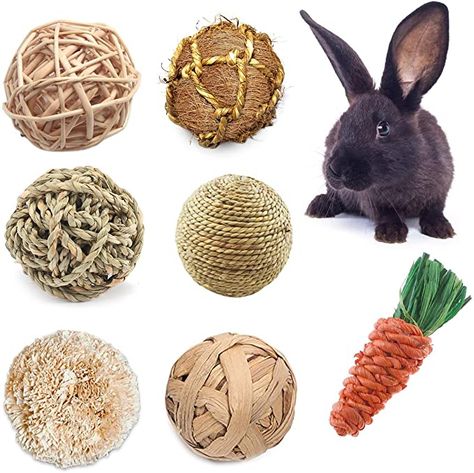 Bunny Supplies, Bunny Activities, Bunny Room, Pet Ball, Pet Bunny Rabbits, Bunny Stuff, Bunny Care, Rabbit Cages, Pet Guinea Pigs