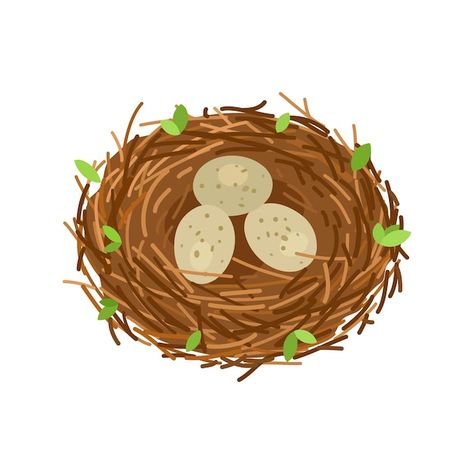 Vector birds nest with 3 eggs branches a... | Premium Vector #Freepik #vector #egg-basket #quail #quail-eggs #egg-icon Birds Nest Illustration, Bird Nest Illustration, Nest Illustration, 2d Character Animation, Whatsapp Stickers, Animal Flashcards, Egg Nest, Kids Poems, Character Animation