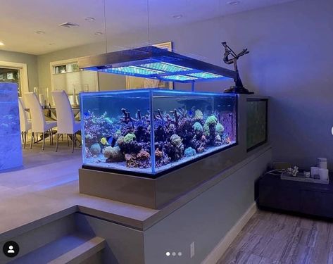 12 Orphek layouts that you should know about •Orphek Aesthetic Aquarium, Guys Room Aesthetic, Custom Aquarium, Aquascape Design, Aquarium Led, Led Aquarium Lighting, Design For Living Room, Freshwater Aquarium Fish, Saltwater Tank