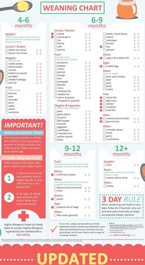 Weaning Chart, Baby Food Timeline, Sweet Potato Banana, Baby Weaning Foods, Baby Food Guide, Introducing Solid, Baby Led Weaning First Foods, Baby Solid Food, Weaning Foods