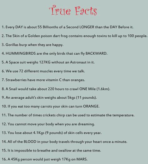 Weird But True Facts, Weird History Facts, Fun Facts Mind Blown, Strange Facts, Weird But True, Mind Blowing Facts, Did You Know Facts, Daily Facts, Facts For Kids