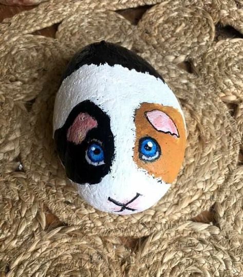 Hamster Painted Rock, Easy Pet Rocks Ideas, Animal Rock Art, Panda Rock Painting, Pet Rock Ideas, Easy Rock Art, Laws Of Physics, Diy Rock Art, Painted Rock Animals