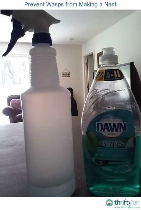 To keep wasps from setting up a home near your front door or around your home - mix 2-3 tablespoons of Dawn dishsoap and about 2-3 cups of water. Put into a spray bottle, shake and that's it. Spray where they keep coming back to, to make a new nest. This will also kill them and drop them like a hat. Bee Killer, Bee Spray, Bee Repellent, Wasp Killer, Wasp Spray, Wasp Repellent, Get Rid Of Wasps, Wasp Traps, Diy Pest Control