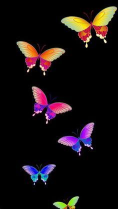 Color Art Lessons, Purple Butterfly Wallpaper, Blue Butterfly Wallpaper, Butterfly Wallpaper Backgrounds, Butterfly Background, Butterfly Wallpaper Iphone, Animal Print Wallpaper, Simple Phone Wallpapers, Cellphone Wallpaper Backgrounds