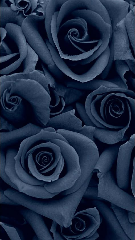 I love these roses Flor Iphone Wallpaper, Rose Background, Art Wallpaper Iphone, Flower Phone Wallpaper, Rose Wallpaper, Blue Roses, Cellphone Wallpaper, Flower Backgrounds, Blue Wallpapers