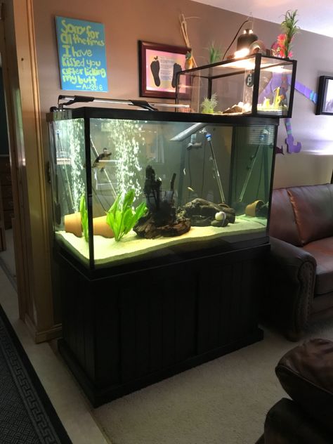 Water Turtle Tank Ideas Indoor, 55 Gallon Turtle Tank Ideas, Aesthetic Turtle Tank, Slider Turtle Tank Ideas, Aquatic Turtle Tank Ideas, Turtle Tank Setup Ideas, Turtle Setup, Tartaruga Habitat, Turtle Tank Ideas