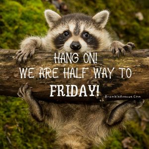 Hang on! We are half way to Friday! Funny Wednesday meme! Cute racoon post! FREE SVGs PDFs Make your own shirts! Mugs! Wall Art! Greeting Cards! We've got more cute rainbow printables too! And lots more inspiring and fun images! Grow your social media engagement with fun quotes and great good morning posts! All Free inside BrambleAvenue.com Friday Meme Funny, Funny Wednesday Quotes, Funny Wednesday, Wednesday Greetings, Hump Day Humor, Wednesday Humor, Grow Your Social Media, Funny Day Quotes, Good Morning Wednesday