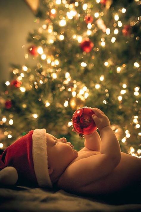 Baby Christmas Photography, Photo Bb, Baby Milestones Pictures, Baby Christmas Photos, Xmas Photos, Christmas Pics, Newborn Baby Photoshoot, Newborn Christmas, Baby Poses