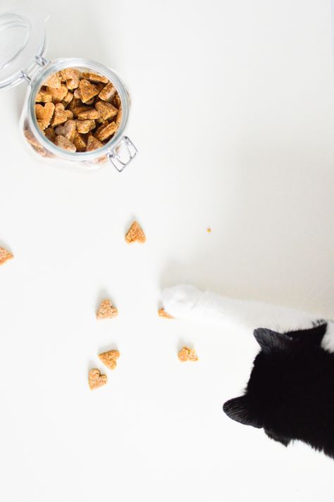 Homemade chicken treats for cats and dogs Cat Homemade Treats, Homemade Cat Treats, Cat Treats Homemade Healthy, Healthy Homemade Cat Treats, Chicken Cat Treats Homemade, Chicken Cat Treats, Homemade Cat Treats Recipes, Diy Cat Treats, Dehydrated Chicken Liver Dog Treats