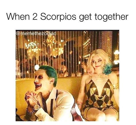 30 Astrology Memes That Are Sooooo You Scorpio Meme, Scorpio Funny, Zodiac Quotes Scorpio, Virgo Memes, Astrology Scorpio, Virgo Girl, Scorpio Girl, Scorpio Zodiac Facts, Zodiac Signs Scorpio