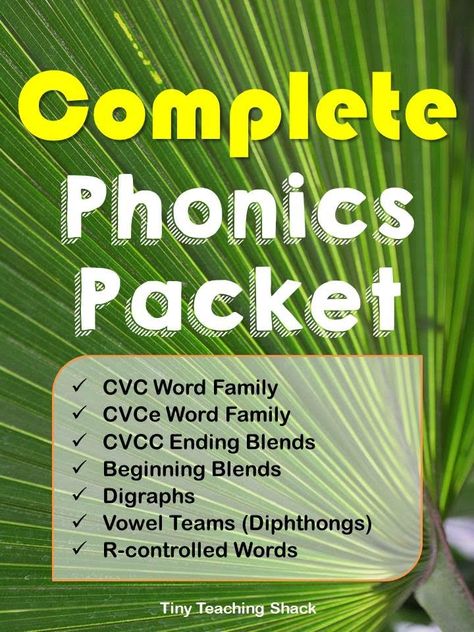 Teach Spelling, Preschool English, Reading Readiness, Teach Phonics, Phonics Cvc, Learning Phonics, Cvc Word Families, Phonics Books, Cvce Words