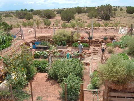 Sustainable Desert Home, Arizona Permaculture, New Mexico Homestead, Arizona Food Forest, Desert Food Forest, High Desert Garden, High Desert Gardening, Desert Farming, Vegan Homesteading