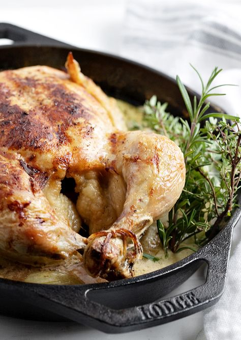 Milk Braised Whole Chicken Braised Whole Chicken, Chicken With Mustard, Braising Recipes, Lemon Roasted Chicken, Donna Hay Recipes, Chicken Milk, Whole Chicken Recipes, Whole Roasted Chicken, Oven Roasted Chicken