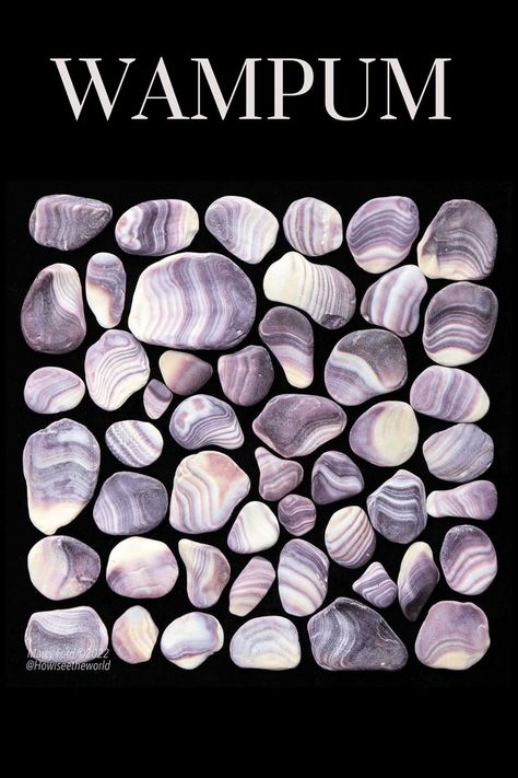 Learn how to polish Wampum and other seashells with this detailed guide. From cleaning to shaping and final polishing, discover the steps to transform seashells into beautifully polished pieces. Perfect for hobbyists and crafters interested in creating unique shell jewelry and decorations. photo: howiseetheworld Collecting Seashells, Sharks Teeth, Pe Ideas, Shell Painting, Rock Collecting, Idle Hands, Maternal Health, Indian Artifacts, Canadian History