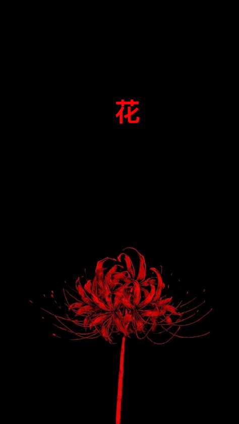 Spider Lilly Wallpapers 4k, Tokyo Ghoul Red Flower, How To Draw Spider Lily, Red Spider Lily Wallpaper Iphone, Lycoris Rouge, Red Spider Lily Drawing, Red Spider Lily Aesthetic, Blue Spider Lily Wallpaper, Spider Lily Aesthetic