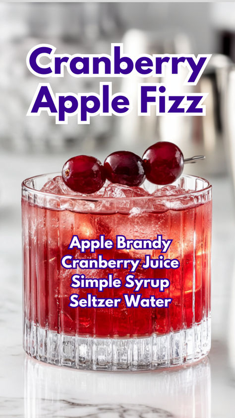 Cranberry Apple Fizz Apple Brandy Recipe, Apple Cranberry Mocktail, Apple Cider Cranberry Mocktail, Cranberry Juice Cocktails, Seltzer Cocktails, Mocktails Cranberry, Cranberry Gin Fizz, E&j Apple Brandy Cocktail Recipes, Cranberry Cocktails