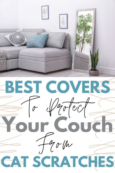 Scratch Proof Couch Cover Cat Proof Couch, Couch Protector, Cat Proofing, Wallpaper Shelves, Small Studio Apartment, Diy Couch, Pet Ideas, Cat Care Tips, Slip Covers Couch