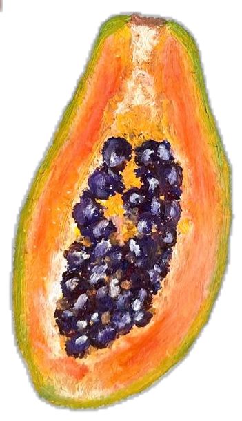 @things_grow. Juicy and vibrant papaya illustration using sennelier oil pastels. Fruit illustration, good illustration. @Aisha Pectyo Papaya Illustration, Papaya Oil, Good Illustration, Papaya Art, Sennelier Oil Pastels, Fruit Illustration, Oil Pastels, Oil Pastel, Papaya