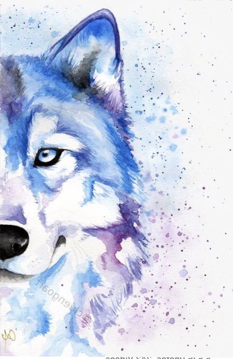 Watercolor Wolf, Wolf Illustration, Wolf Painting, Wolf Face, Cat Air, Arte Sketchbook, A Wolf, Wolf Art, Illustration Artwork