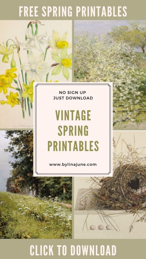 free vintage wall art printables Free Vintage Printables Shabby Chic, Free Vintage Printables Ephemera, Spring Printables Free, Spring Home Decor Ideas, Spring Wall Decor, Spring Fruit, Spring Printables, Free Vintage Printables, Spring Wall Art