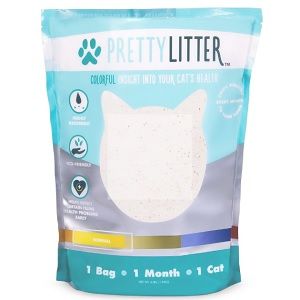 Color-changing cat litter delivered to your door every month?  No, you aren't dreaming!  Come check out our review of Pretty Litter and see what all the hype is about. Raising Kittens, Pretty Litter, Cat Toilet Training, Best Cat Litter, Dog Insurance, Cat Info, Cat Toilet, Cat Ideas, Cat Care Tips