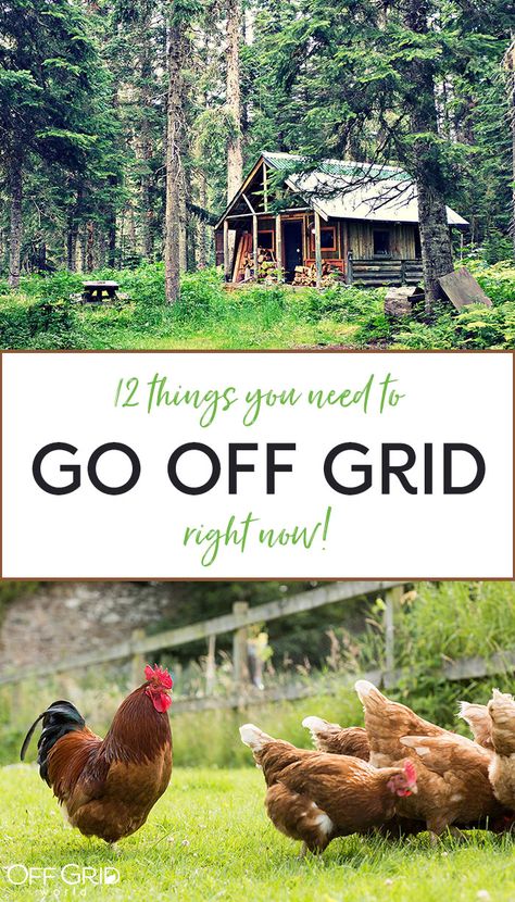 Go off grid Off Grid Living For Beginners, Off Grid Farm, Go Off, Off Grid Living, Off Grid, Off The Grid, Apothecary, Do You Need, Health And Wellness