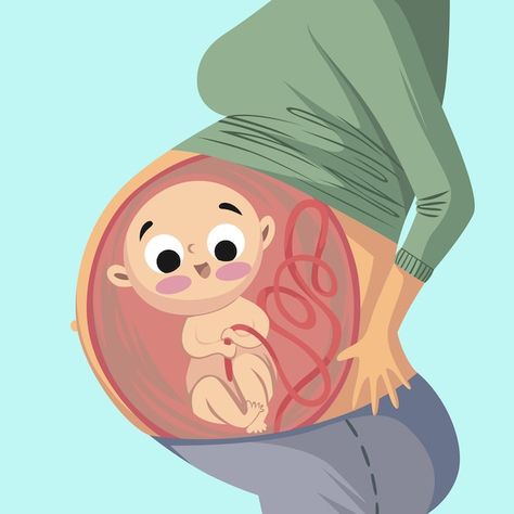 Vector illustration for poster banner wa... | Premium Vector #Freepik #vector #prenatal #pregnant #maternity #fetus Pregnant Illustration, Pregnancy Illustration, Banner Wallpaper, Baby Crafts Diy, Teenage Pregnancy, Academic Drawing, Ppt Background, Pregnancy Art, A Pregnant Woman