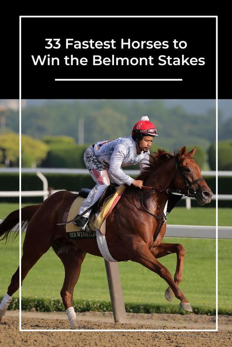 These fastest horses who won past Belmont Stakes are ones who ran the entire 1.5-mile race after 1925. Faster Horses, Belmont Stakes, To Win, Horses