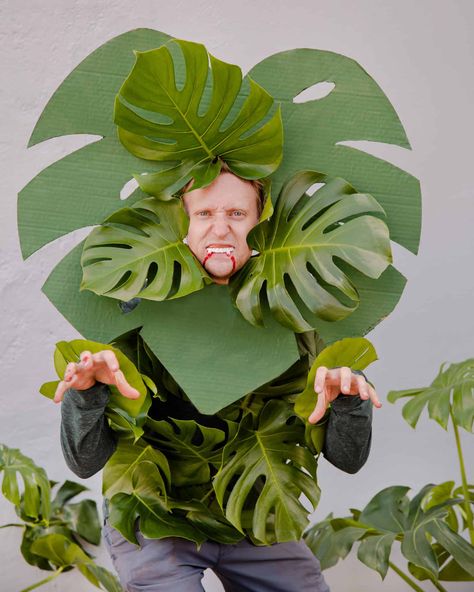 3 DIY Botanical-Themed Halloween Costumes - In Bloom Florist Blog Upcycled Halloween Costumes, Halloween Plant Costume, Plant Halloween Costumes Diy, Garden Theme Halloween Costumes, Plant Costume Kids, Flora And Fauna Costume, Tropical Halloween Costume, Crazy Plant Lady Costume, Diy Plant Costume