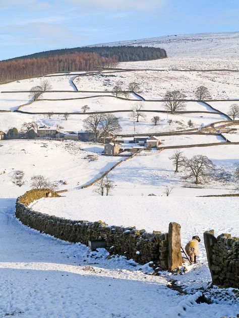 Countryside near Barden Tower Snowy English Countryside, Snow Houses, Snowy Cottage, Winter Song, Winter Cottage, Snowy Landscape, Cosy Christmas, Poster Store, Strange Places