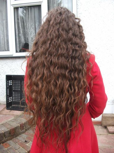 Long Curly Hair Back View, Curly Hair Back View, Hair Back View, Hair Ombre Brown, 3b Hair, Wigs Cosplay, Ombre Brown, Curly Bob Wigs, Hair Ombre