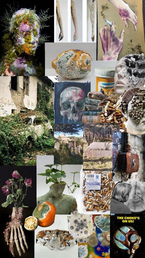 A moodboard for A Level Art - Decay Growth And Decay Title Page, Growth And Decay Art, Decay Flowers, Decay Art, Growth And Decay, Beautiful Decay, Vivarium, Gcse Art, A Level Art