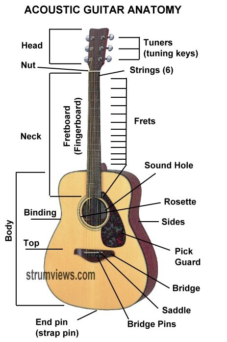 Guitar Lessons----Anatomy of an acoustic guitar Basic Chords Guitar, Guitar Classes, Basic Guitar Lessons, Music Theory Guitar, Guitar Chords Beginner, Guitar Lessons For Beginners, Guitar Tuners, Guitar Chord Chart, Learn To Play Guitar