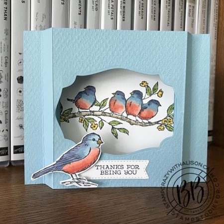 Bird Shadow, Shadow Box Cards, Embossed Cards Handmade, Cat Cards Handmade, Box Cards Tutorial, Box Frame Art, Free As A Bird, Simple Birthday Cards, Bird Stamp