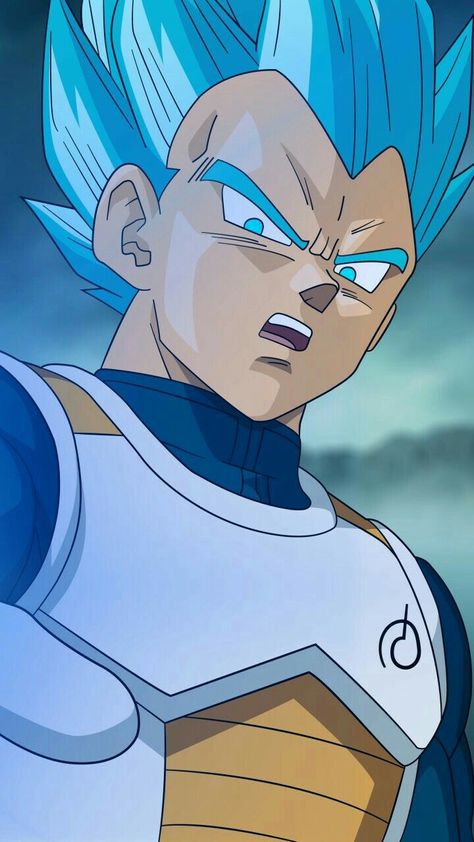 Vegeta Wallpapers Hd Wallpaper, Dragon Ball Wallpaper, Goku Blue, Super Vegeta, Prince Vegeta, Dbz Vegeta, Ball Wallpaper, Goku Wallpaper, 2160x3840 Wallpaper