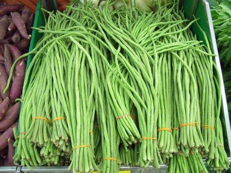 Long Beans or yard long beans, Chinese long beans or snake beans. Chinese Long Beans, Como Plantar Pitaya, Asparagus Beans, Long Bean, Asian Vegetables, Bean Seeds, Garden Seeds, Asparagus, Green Beans