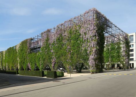 Paul Clemence Captures Burckhardt & Partners' Zürich’s MFO Park in Bloom | ArchDaily Green Facade, Green Stuff, Architecture Collage, Architecture Ideas, Green Architecture, Urban City, Hanging Garden, Park Homes, Scaffolding