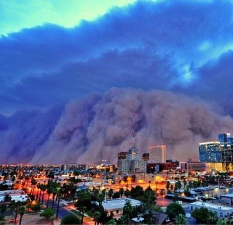 I want to witness a haboob. I've survived West Texas sandstorms, I need to see what makes a haboob so damned special! Wild Weather, Dust Storm, Downtown Phoenix, Powerful Images, Natural Phenomena, Sky And Clouds, Extreme Weather, Phoenix Arizona, Natural Disasters