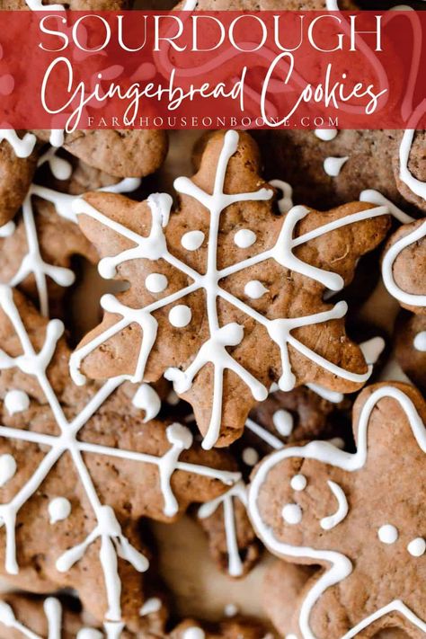 Cookies With Olive Oil, Sourdough Gingerbread, Cookies Sourdough, Gluten Free Gingerbread Cookies, Vegan Gingerbread Cookies, Easy Gingerbread Cookies, Hot Chocolate Sauce, Royal Icing Piping, Gingerbread Cookie Recipe