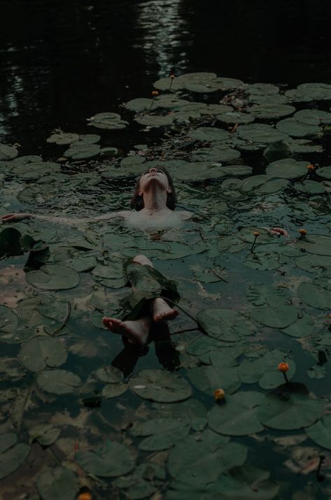 Michael Morris, Levitation Photography, Pond Maintenance, Water Shoot, Figurative Kunst, Water Photo, Natural Pond, Free High Resolution Photos, Cute Bunny Cartoon