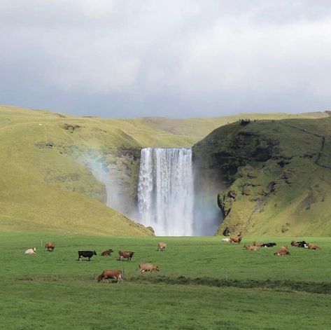 Cows in a pasture in a mountain landscape by a waterfall, romantic and dreamy and pastoral and rustic bucolic magic scene Theme Nature, Leo Valdez, Nature Aesthetic, Travel Inspo, Pretty Places, Beautiful World, The Great Outdoors, Happy Places, Mother Nature