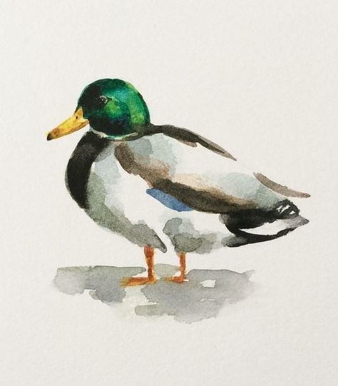 Acrylic Animal Paintings Easy, Watercolour Duck, Watercolour Wildlife, Wildlife Watercolor, Watercolor Birds, Duck Art, Kids Watercolor, Watercolor Pictures, Summer Painting