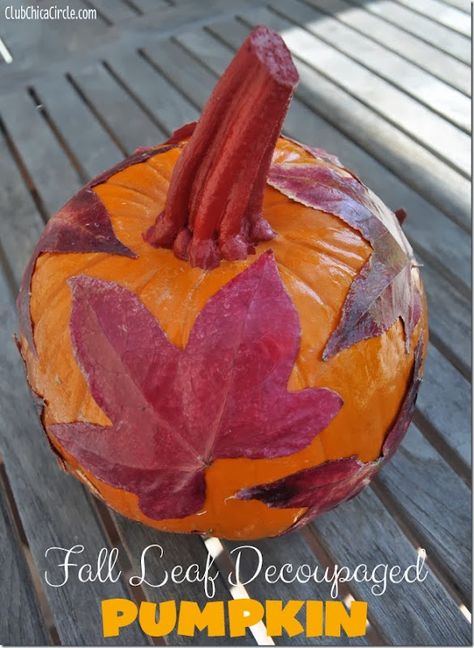 Fall-leaf-decoupaged-pumpkin-craft-idea Decoupage Pumpkins, Fall Craft Ideas, Halloween Pumpkin Stencils, Leaf Pumpkin, Pumpkin Craft, Decoupage Ideas, Pretty Pumpkins, Fall Faves, Fall Festivities