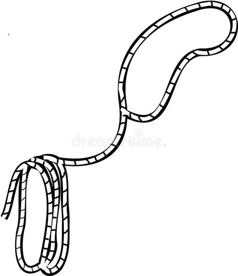 Lasso Tattoo Ropes, Cowboy Lasso Drawing, Cowboy Lasso Tattoo, Lasso Illustration, Lasso Drawing, Lasso Tattoo, Name Tattoos Ideas, Cowboy Magazine, Cowboy Lasso