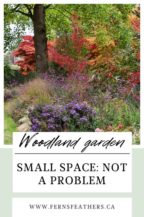 Smaller front and back yards common in today's new homes lend themselves to creating mini woodland-style gardens that are inspired by larger natural spaces. Learn how you can create the woodland feeling in your small space with landscape design and tips that focus on layering in the garden and, for example, using existing trees in your neighbour's yard. Using native plants and trees will also encourage wildlife including birds, butterflies and native bees to your yard. landscape ideas and tips Woodland Front Yard Landscaping, Woodland Garden Ideas, Wooded Backyard Landscape, Yard Landscape Ideas, Native Plant Landscape, Natural Landscaping, Back Yards, Wildlife Garden, Yard Landscape