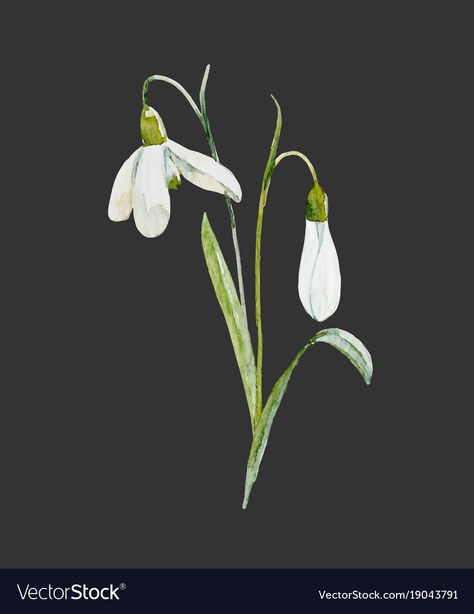 Biodynamic Calendar, Snow Drop Flower, Snow Drops Flowers, Tattoo Friends, Snowdrop Flower, Snow Drop, Bouquet Tattoo, Flower Line Drawings, Wreath Drawing