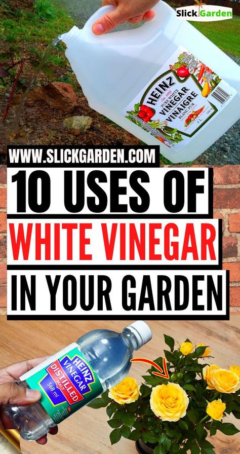 Uses For Vinegar, Scandinavian Coastal, Heinz Vinegar, Clean Refrigerator, Earthship Home, Stylish Dining Room, Vinegar Uses, Coastal Boho, Decorating Ideas For The Home